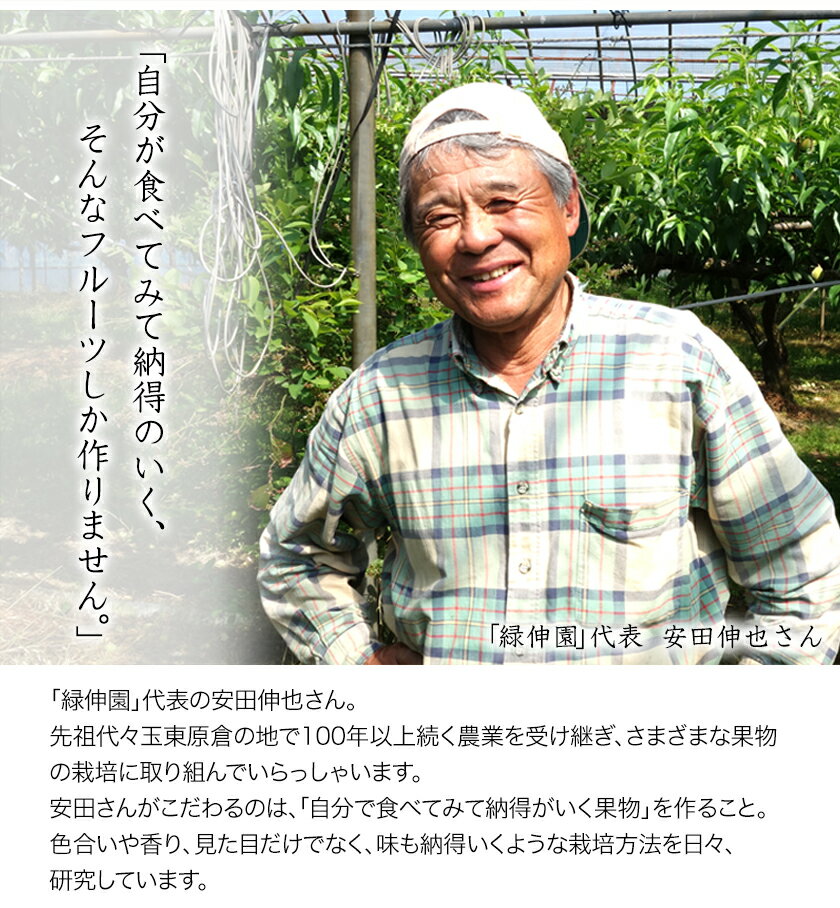 【ふるさと納税】『緑伸園』の大玉 夕焼け太秋柿 約2.5kg 4-7玉前後 予約受付中 フルーツ 秋 旬　柿 ★大きく綺麗な秋の夕日のような色と形★《11月下旬-12月中旬頃出荷》 サムネイル3
