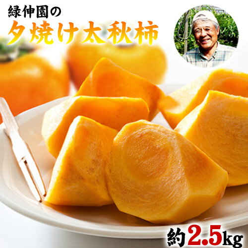 『緑伸園』の大玉 夕焼け太秋柿 約2.5kg 4-7玉前後 予約受付中 フルーツ 秋 旬　柿 ★大きく綺麗な秋の夕日のような色と形★《11月下旬-12月中旬頃出荷》