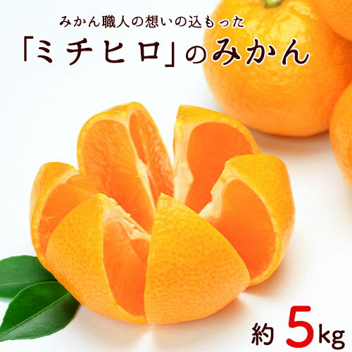 【先行予約】秋 旬 フルーツ みかん ぎょくだん『ミチヒロ』のみかん 約5kg(サイズおまかせ) 予約受付中 フルーツ 秋 旬 熊本県玉名郡玉東町『熊本・玉東、玉東町段々畑男子団。』みかん ぷらっとぎょくとう《10月下旬-1月下旬出荷》