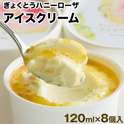 糖度17度の甘さ♪ハニーローザアイスクリーム 120ml×8個 熊本県玉名郡玉東町 すもも ハニーローザ アイス ぷらっとぎょくとう《60日以内に出荷予定(土日祝除く)》