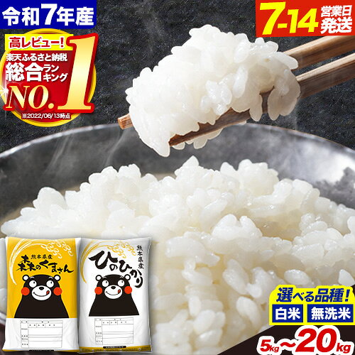 令和7年産 無洗米 も選べる ひのひかり 森のくまさん 5kg 10kg 20kg 《出荷時期をお選びください》 高レビュー 熊本県産 白米 精米 ひの 米 こめ ふるさとのうぜい ヒノヒカリ コメ 熊本米 食べ比べ 定期便 楽天スーパーSALE