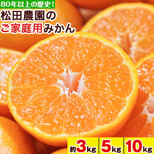 『松田農園』 みかん ご家庭用 みかん 【日付指定不可】約3kg 約5kg 約10kg(S-2Lサイズ) たっぷり 予約受付中 フルーツ 秋 旬 約10kg 熊本県玉名郡玉東町『松田農園』 こだわり ミカン！ちょこっと 訳あり《11月上旬-1月下旬頃出荷》