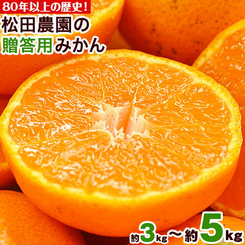『松田農園』のみかんたっぷり 約3kg 約5kg (S-2Lサイズ) 贈答用【日付指定不可】 フルーツ 秋 旬 熊本県 玉名郡玉東町『松田農園』手間暇かけたこだわりのミカン【日付指定不可】《11月上旬-1月下旬頃出荷》