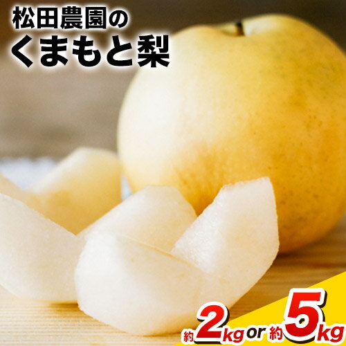 【先行予約】秋 旬 梨 期間限定 【日付指定不可】梨 『松田農園』の くまもと 梨 たっぷり 約2kg 5-7玉前後 約5kg 8-18玉前後《7月下旬-9月末頃出荷》 熊本県玉名郡玉東町『松田農園』なし 果物 スイーツ フルーツ デザート スムージー SDG`s