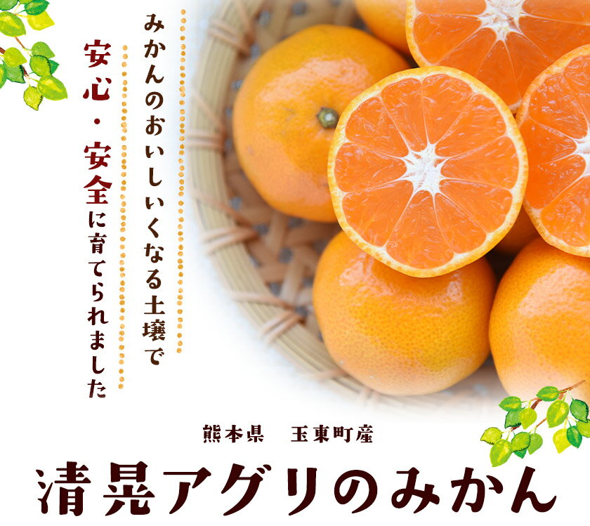 【ふるさと納税】みかん 柑橘 『清晃アグリ』 みかん 約4kg(2S-2Lサイズ) 【日付指定不可】 予約受付中 フルーツ 秋 旬★熊本 県 玉名 郡 玉東 町 健康 土 ジューシー おいしい みかん ！《11月中旬-12月末頃出荷(土日祝除く)》 美味しい 甘い サムネイル2
