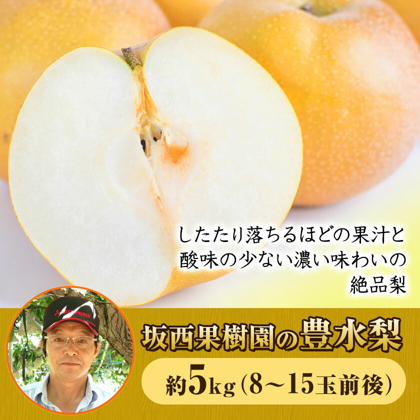 【ふるさと納税】『坂西果樹園』の豊水梨 期間限定 たっぷり約5kg(8-15玉前後)こだわり抜かれた栽培方法！予約受付中 熊本県玉名郡玉東町産 梨 なし 豊水 果物 スイーツ フルーツ デザート スムージー 熊本県玉東町《8月中旬-9月中旬頃出荷》 - 画像2