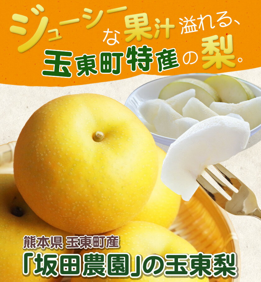 【ふるさと納税】梨 なし 旬の梨 坂田農園 玉東梨 期間限定 【内容量をお選びください】 約5kg 約3kg 熊本県玉名郡玉東町産 果物 梨 スイーツ フルーツ デザート スムージー 大容量 熊本県玉東町 あきづき《8月中旬- 9月末頃出荷》 - 画像3