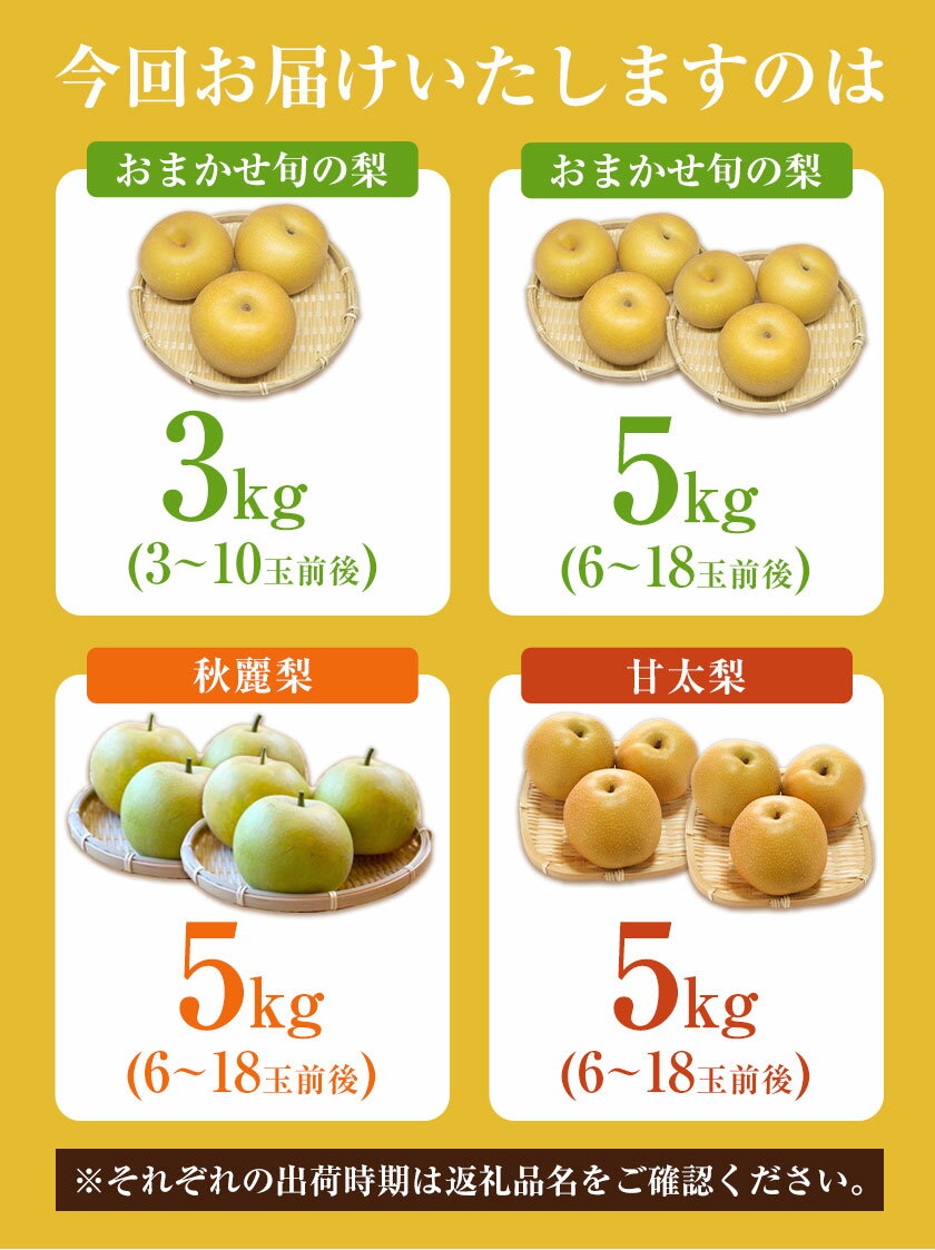 【ふるさと納税】【先行予約】梨 なし 旬の梨 さかもと果樹園の玉東梨 選べる 約3kg (3玉-10玉前後) 約5kg (6玉-18玉前後) 【日付指定・品種指定不可】 フルーツ ナシ 果物 《旬の梨：8月中旬-9月末頃出荷/ 秋麗：8月中旬-8月下旬頃出荷/ 甘太：9月中旬-9月下旬頃出荷》 - 画像3