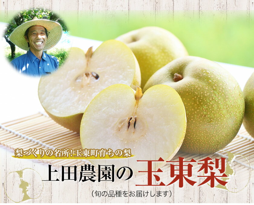 【ふるさと納税】梨 なし 旬の梨 フルーツ 『上田農園』の玉東梨 選べる 約3kg 約5kg 期間限定 《内容量をお選びください》 熊本県玉名郡玉東町『上田農園』なし 果物 スイーツ フルーツ デザート スムージー 熊本県玉東町 楽天スーパーSALE《8月中旬-10月上旬頃出荷》 - 画像2