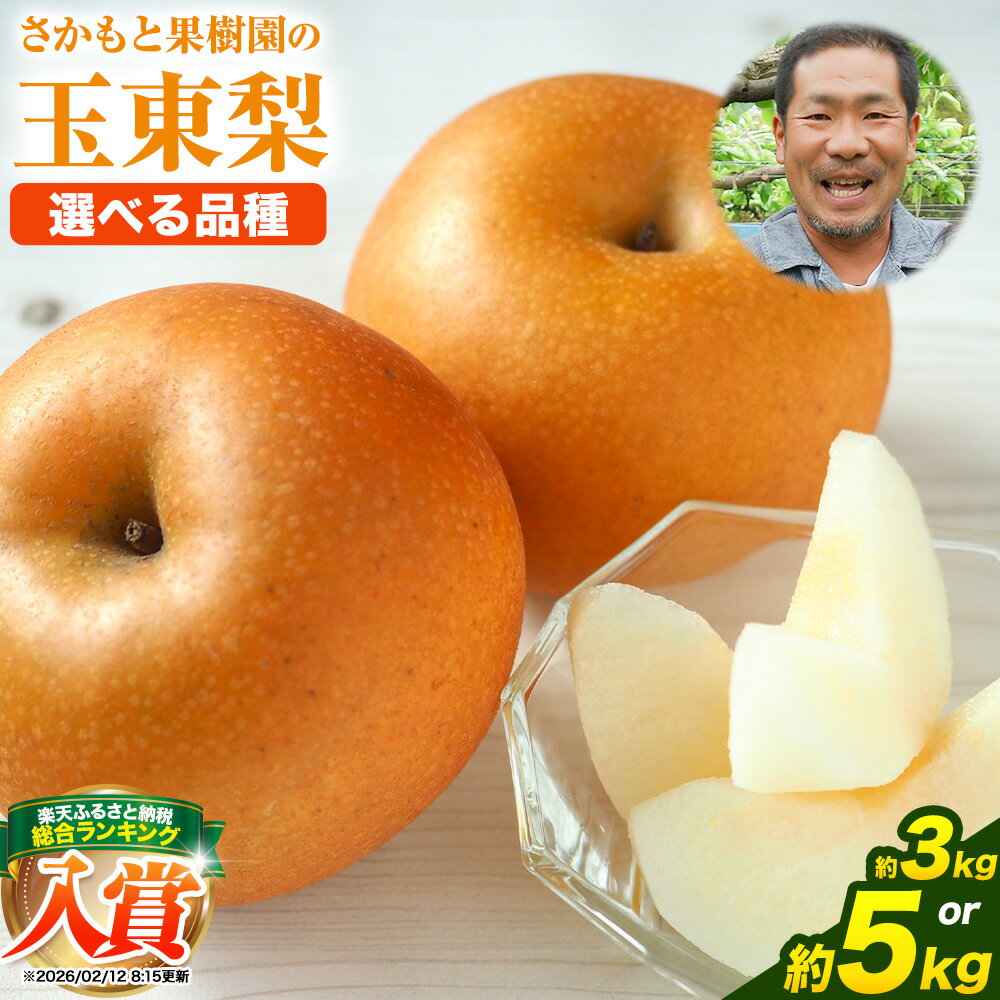 【先行予約】梨 なし 旬の梨 さかもと果樹園の玉東梨 選べる 約3kg (3玉-10玉前後) 約5kg (6玉-18玉前後) 【日付指定・品種指定不可】 フルーツ ナシ 果物 《旬の梨：8月中旬-9月末頃出荷/ 秋麗：8月中旬-8月下旬頃出荷/ 甘太：9月中旬-9月下旬頃出荷》