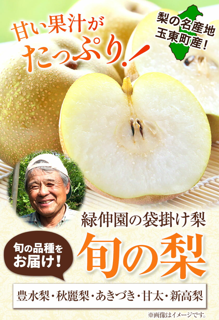 【ふるさと納税】秋 旬 梨 フルーツ 『緑伸園』旬の梨 旬の品種をお届けします！ たっぷり約5kg 6-14玉前後 or 約3kg 4-8玉前後 果物 スイーツ フルーツ デザート スムージー 《8月中旬-9月下旬頃出荷》期間限定 熊本県玉名郡玉東町産 豊水梨 秋麗梨 あきづき 甘太 新高梨 - 画像2