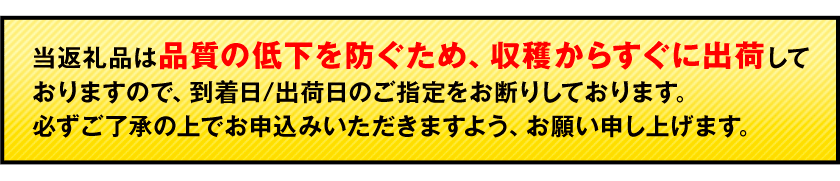 【ふるさと納税】【先行予約】秋 旬 梨 期間限定 【日付指定不可】梨 『松田農園』の くまもと 梨 たっぷり 約2kg 5-7玉前後 約5kg 8-18玉前後《7月下旬-9月末頃出荷》 熊本県玉名郡玉東町『松田農園』なし 果物 スイーツ フルーツ デザート スムージー SDG`s - 画像2
