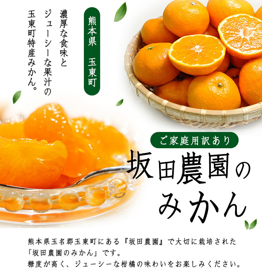 【ふるさと納税】 みかん 旬【日付指定不可】 ご家庭用 訳あり 『坂田農園』 ご家庭 用 みかん 選べる 約 5kg 10kg (2S-2Lサイズ) 熊本 予約 受付中 フルーツ 秋 旬 玉東 町 濃厚 食味 ジューシー 果汁 熊本県玉東町《10月上旬-1月末頃出荷(土日祝除く)》 サムネイル2