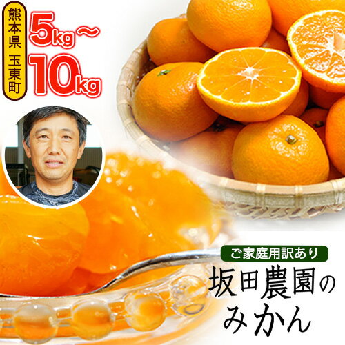 みかん 旬【日付指定不可】 ご家庭用 訳あり 『坂田農園』 ご家庭 用 みかん 選べる 約 5kg 10kg (2S-2Lサイズ) 熊本 予約 受付中 フルーツ 秋 旬 玉東 町 濃厚 食味 ジューシー 果汁 熊本県玉東町《10月上旬-1月末頃出荷(土日祝除く)》