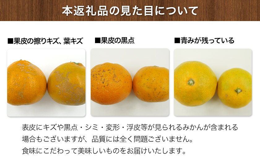 【ふるさと納税】 みかん 旬【日付指定不可】 ご家庭用 訳あり 『坂田農園』 ご家庭 用 みかん 選べる 約 5kg 10kg (2S-2Lサイズ) 熊本 予約 受付中 フルーツ 秋 旬 玉東 町 濃厚 食味 ジューシー 果汁 熊本県玉東町《10月上旬-1月末頃出荷(土日祝除く)》 サムネイル3