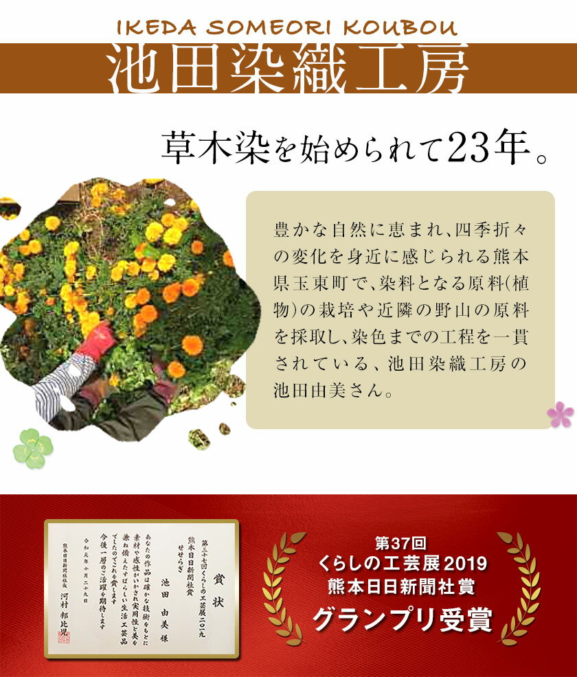 【ふるさと納税】草木染はごろもシルクショール 選べる4COLOR！ 池田染織工房《60日以内に出荷予定(土日祝除く)》 サムネイル3