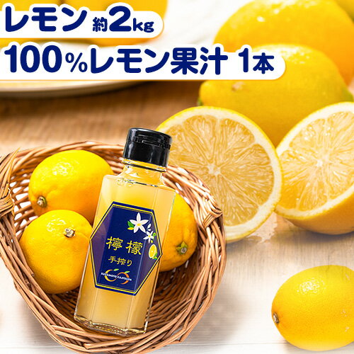 レモン 約2kg と 手搾り100％レモン果汁 1本 セット《12月中旬‐2月末頃出荷》熊本県 玉名郡 玉東町 菅本果実園 檸檬 レモンジュース レモネード はちみつレモン
