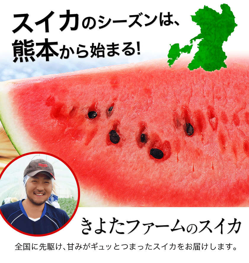 【ふるさと納税】【先行予約】『きよたファーム』のすいか 1玉約8〜10kg 熊本県玉名郡玉東町『きよたファーム』すいか フルーツ 果物 熊本県産《2026年5月下旬-6月下旬頃出荷》 - 画像2