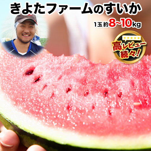【先行予約】『きよたファーム』のすいか 1玉約8〜10kg 熊本県玉名郡玉東町『きよたファーム』すいか フルーツ 果物 熊本県産《2026年5月下旬-6月下旬頃出荷》