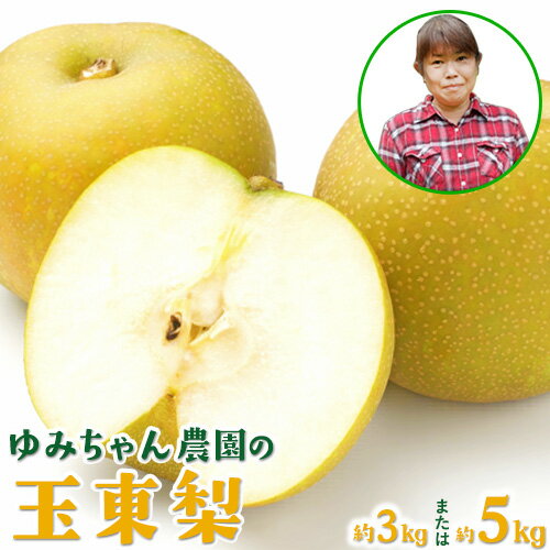 【先行予約】梨 なし 旬の梨 フルーツ 豊水 あきづき 甘太 新高 ゆみちゃん農園の玉東梨 選べる 約3kg 約5kg 《内容量をお選びください》熊本県玉名郡玉東町 梨 なし 果物 フルーツ《2026年8月下旬-10月上旬頃出荷》