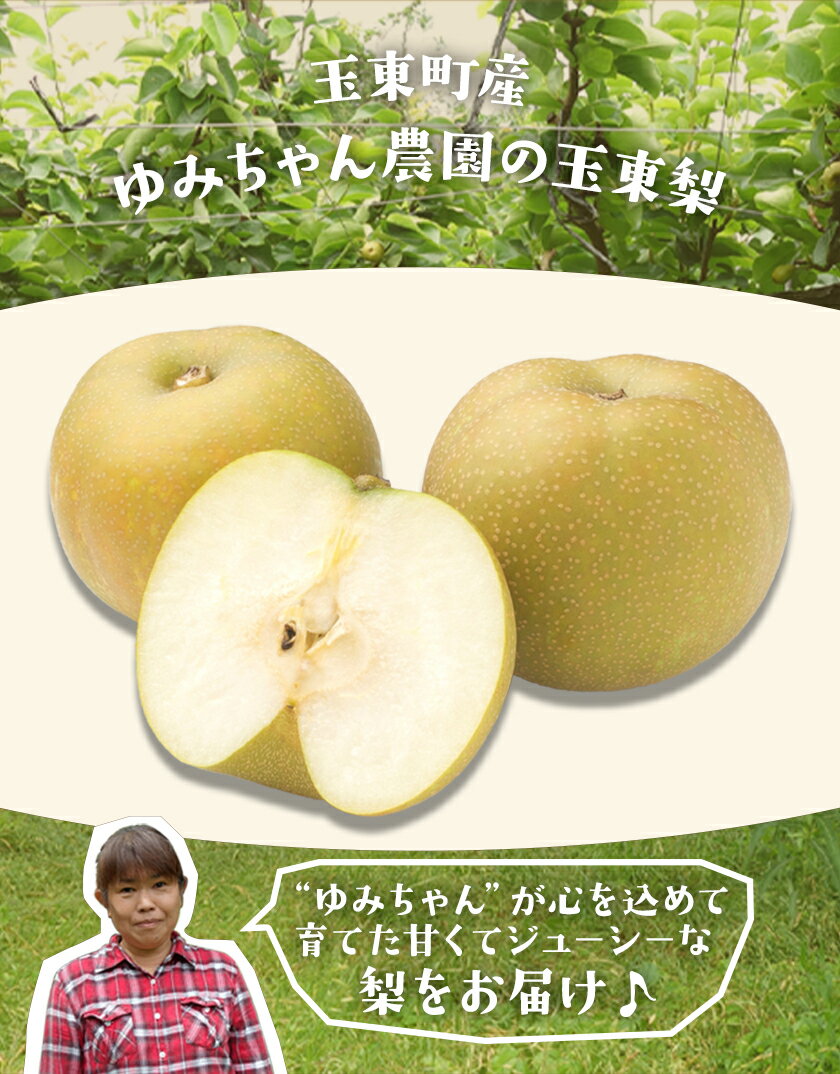 【ふるさと納税】【先行予約】梨 なし 旬の梨 フルーツ 豊水 あきづき 甘太 新高 ゆみちゃん農園の玉東梨 選べる 約3kg 約5kg 《内容量をお選びください》熊本県玉名郡玉東町 梨 なし 果物 フルーツ《2026年8月下旬-10月上旬頃出荷》 - 画像2