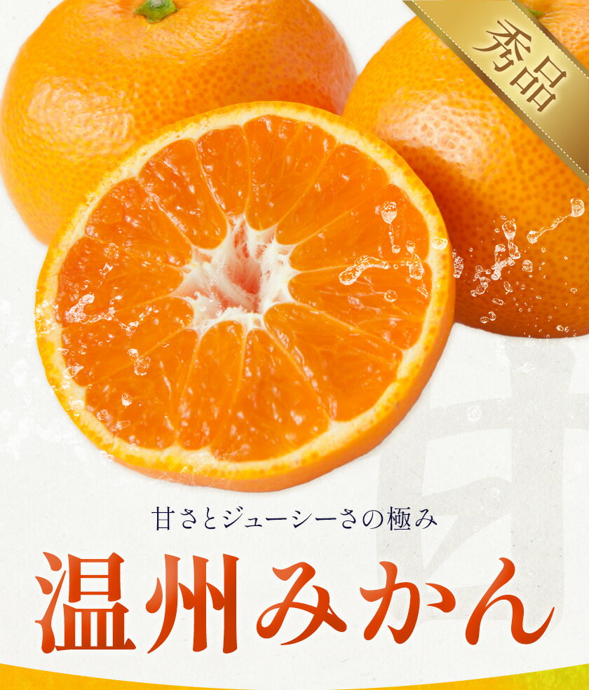 【ふるさと納税】温州みかん 選べる 内容量 約3kg〜約10kg 日本フルーツ株式会社 熊本県 長洲町 《11月上旬〜12月上頃に出荷予定（土日祝除く）》 デコポン 果物 秀品 フルーツ スイーツ デザート ギフト ご贈答 サムネイル2