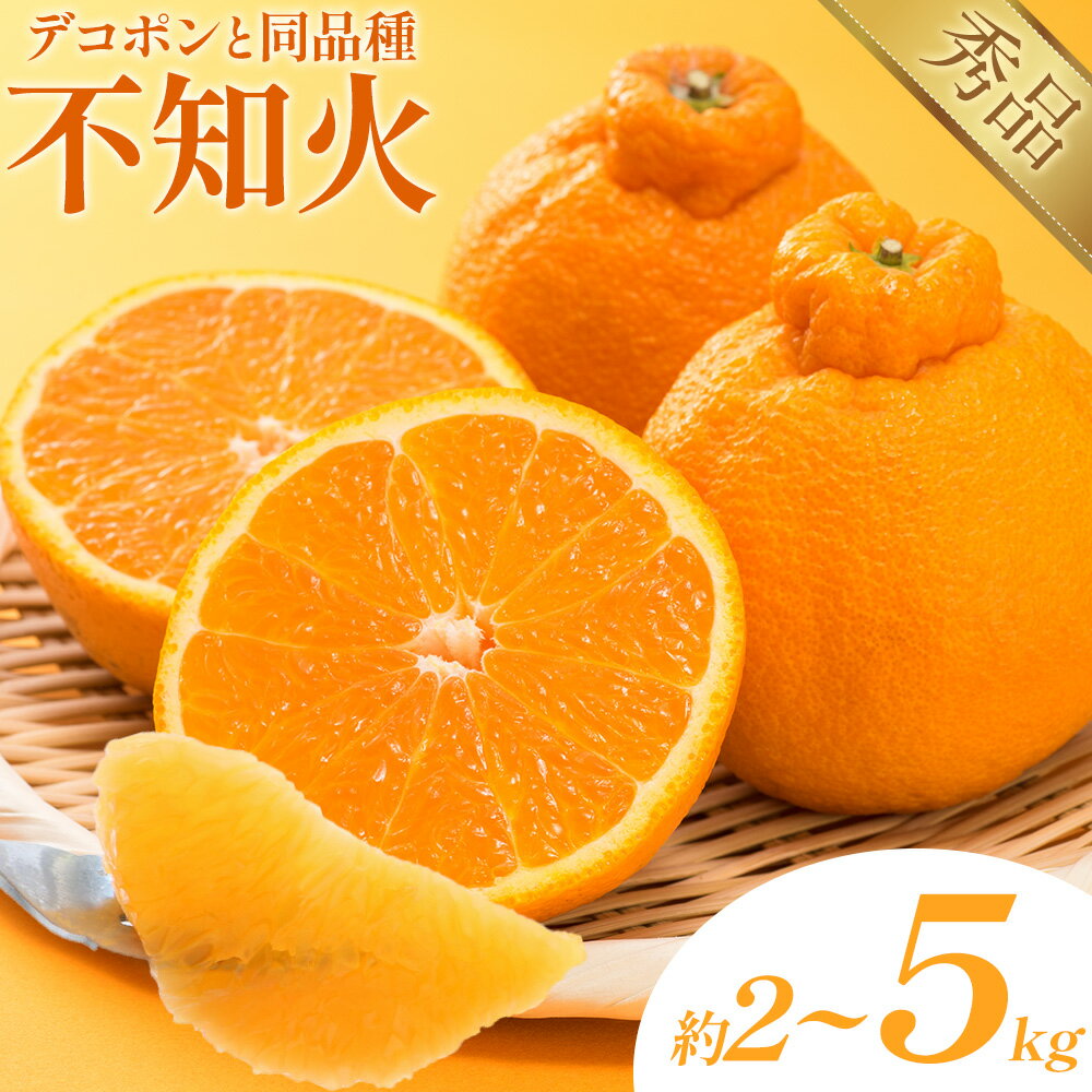不知火（デコポン同品種） 選べる 内容量 約2kg〜約5kg 日本フルーツ株式会社 熊本県 長洲町 《1月下旬-2月末頃出荷予定》 デコポン 果物 秀品 フルーツ スイーツ デザート ギフト ご贈答