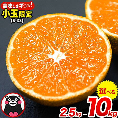 【2025年先行予約】みかん 訳あり 小玉 くまもと小玉みかん 2.5kg (2.5kg×1箱) 5kg (2.5kg×2箱) 10kg (10kg×1箱) 不揃い ご家庭用 たっぷり 熊本県産 S-3Sサイズ フルーツ 旬 柑橘 長洲町 温州みかん 早生 中生 晩生《2025年10月中旬-12月末頃出荷》