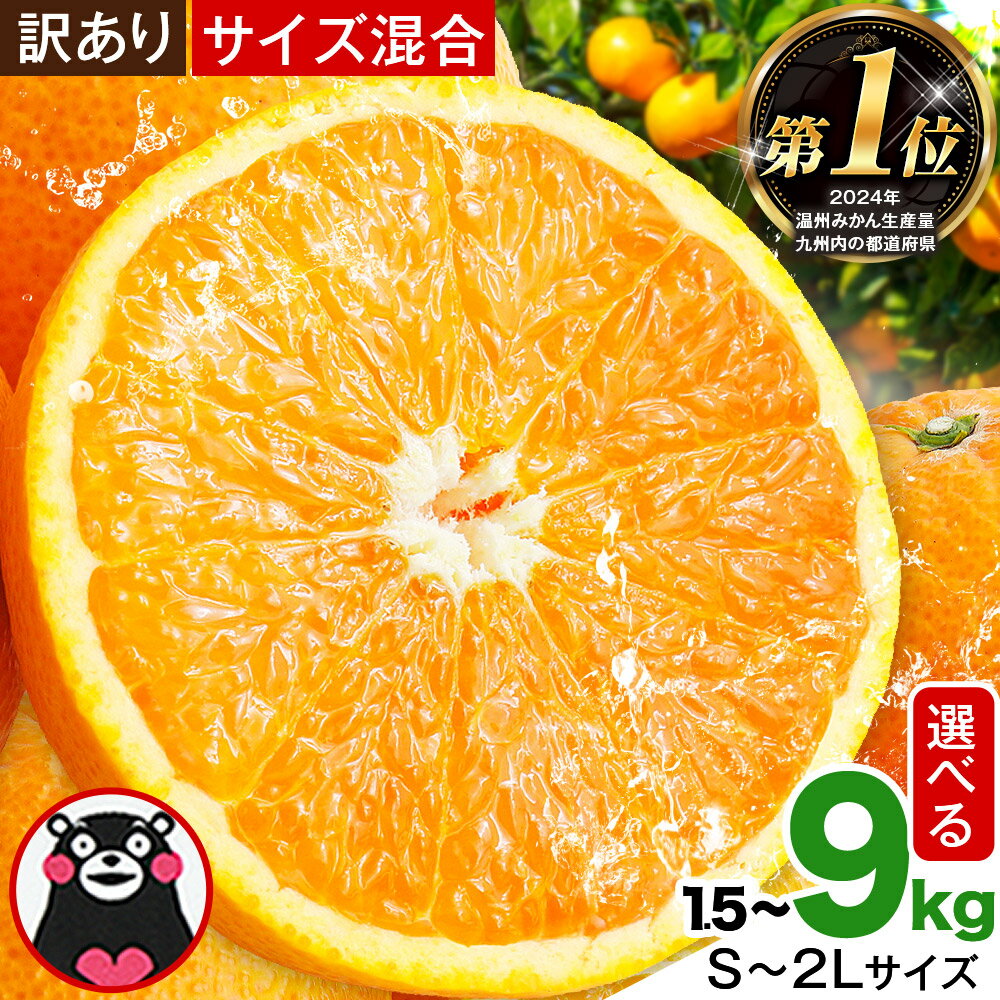 みかん 訳あり くまもとみかん 約1.5kg 約4.5kg 約9kg S-2Lサイズ サイズ混合 ご家庭用《7-14日以内に出荷予定(土日祝除く)》 訳あり みかん フルーツ サイズ混合 秋 旬 柑橘 熊本県 長洲町 熊本県産 長洲町産含む