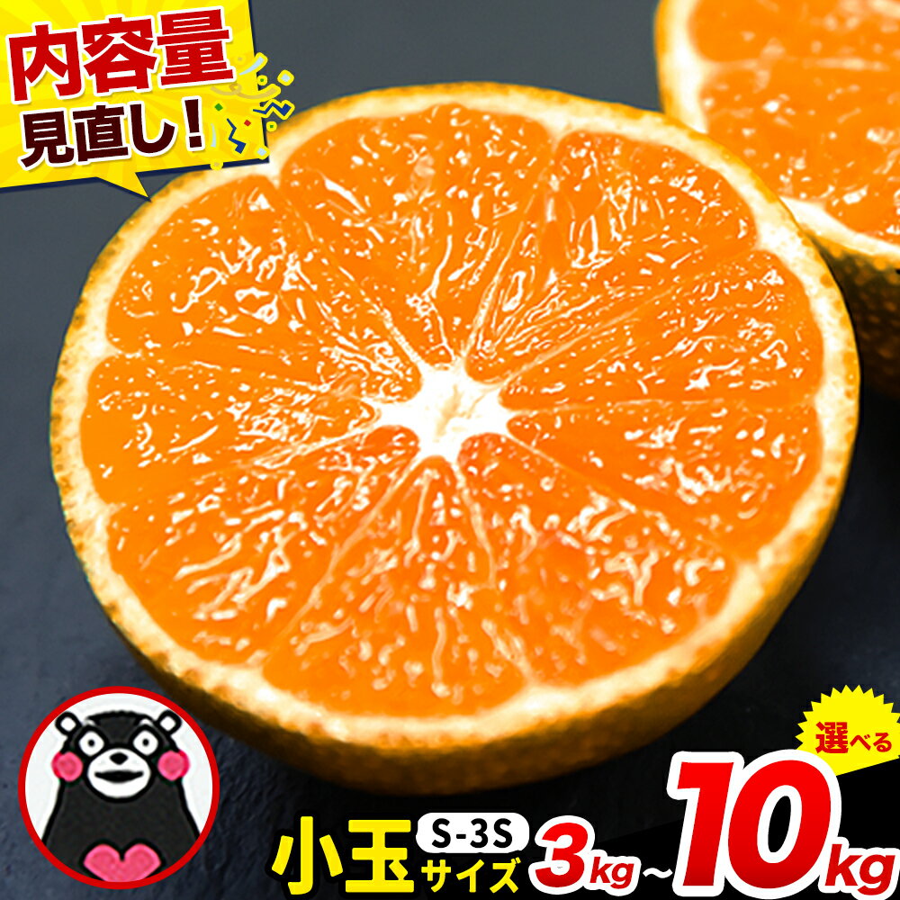 ＜内容量見直し中＞ 先行予約 みかん 訳あり 小玉 くまもと小玉みかん 3kg (3kg×1箱) 6kg (6kg×1箱) 10kg (10kg×1箱) ご家庭用 たっぷり 熊本県産 S-3Sサイズ フルーツ 旬 柑橘 長洲町 温州みかん 早生 中生 晩生《2026年9月下旬-12月下旬頃出荷》