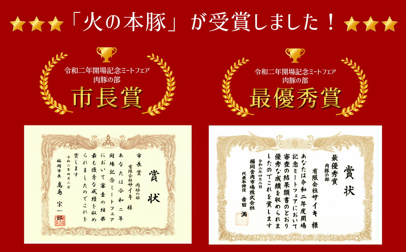 【ふるさと納税】 「火の本豚」 加工品詰め合わせ[フランクフルト60g×4本入り×2パック ボロニアソーセージ250g チョリソーウインナー20g×10本](定期便6回) 火の本豚 ソーセージ 肉 豚肉 加工品 加工肉 ウインナー　熊本県　和水町 サムネイル3