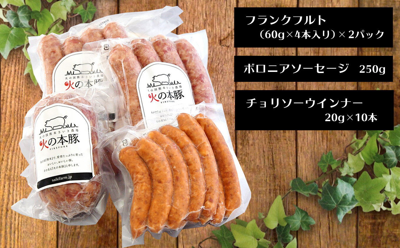 【ふるさと納税】 「火の本豚」 加工品詰め合わせ[フランクフルト60g×4本入り×2パック ボロニアソーセージ250g チョリソーウインナー20g×10本](定期便6回) 火の本豚 ソーセージ 肉 豚肉 加工品 加工肉 ウインナー　熊本県　和水町 サムネイル2