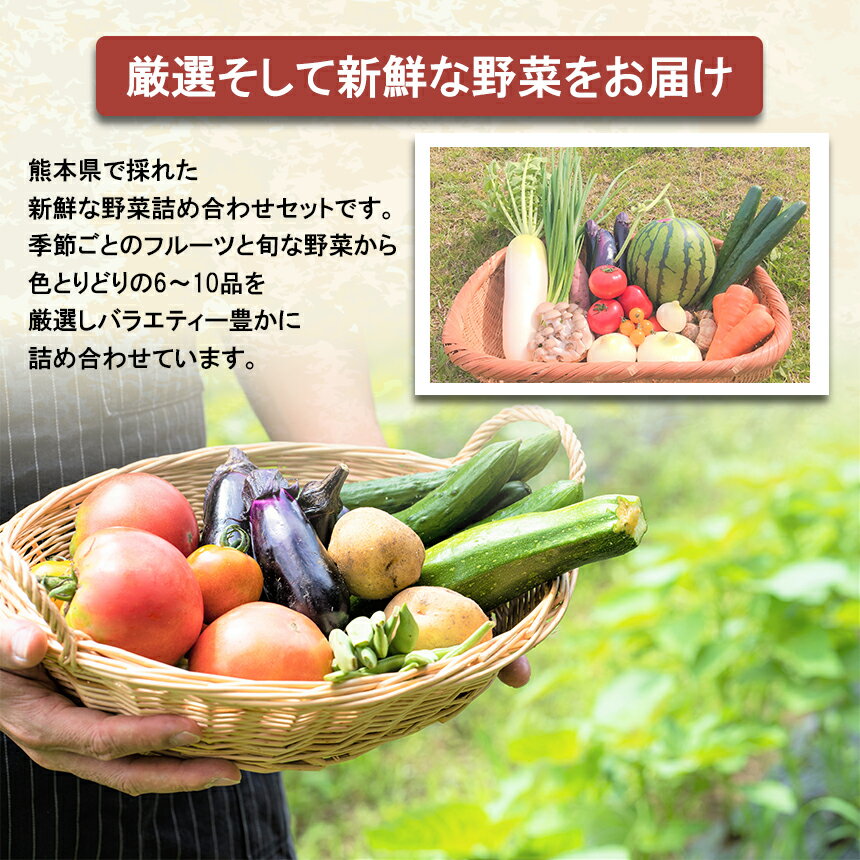 【ふるさと納税】 旬の味覚セット 季節のフルーツ・熊本の新鮮お野菜(6〜10品目)野菜 フルーツ 詰め合わせ お任せ 国産 熊本県 和水町 サムネイル2