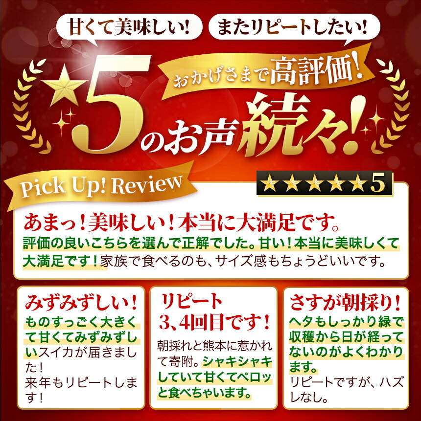 【ふるさと納税】 小玉スイカ順次出荷中 | 売切御免 | ★4.6以上 大玉 小玉 スイカ 赤色 1玉 2玉 すいか or 訳ありスイカ 【 2026年 4月中旬 〜 6月末 頃まで順次発送 】西瓜 果物 フルーツ 熊本県 和水町 くまもと 産地直送 農家直送 石原農園 美味 朝摘み 野菜 オススメ - 画像3