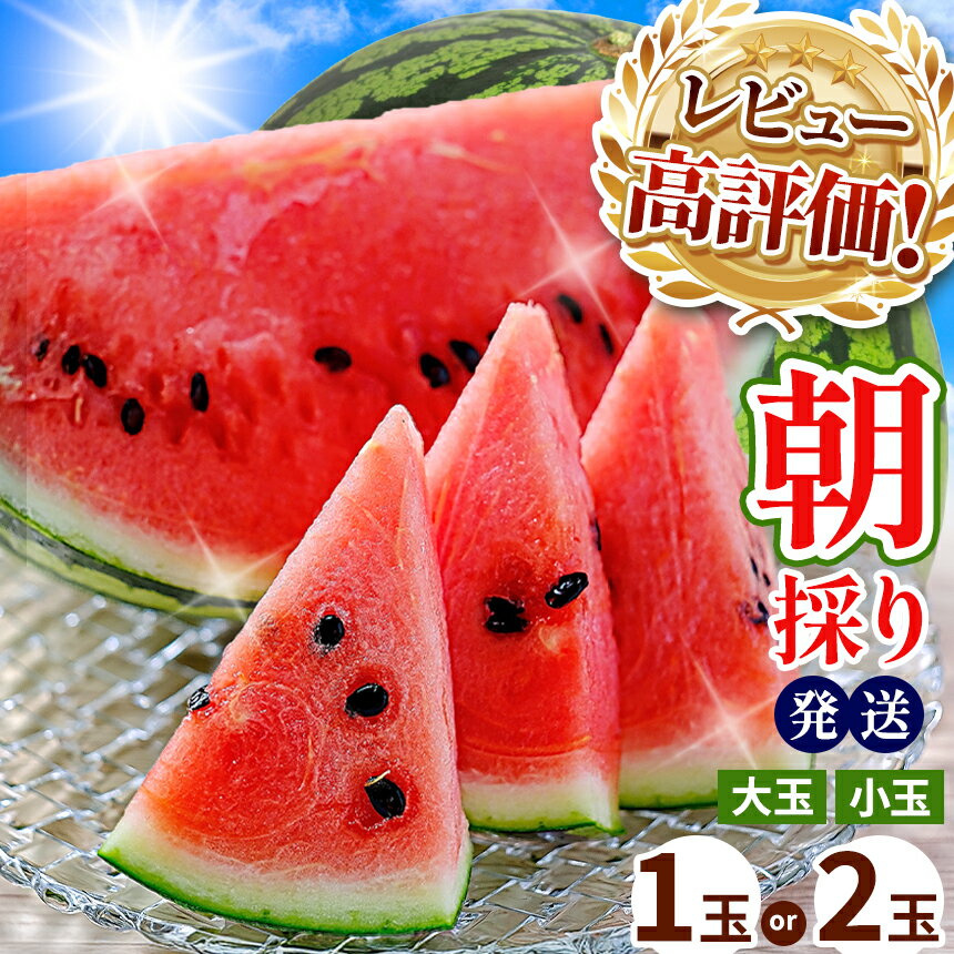 R8年産 先行予約 受付 | 売切御免 | ★4.6以上 大玉 小玉 スイカ 赤色 1玉 2玉 すいか or 訳ありスイカ 【 2026年 4月中旬 〜 6月末 頃まで順次発送 】西瓜 果物 フルーツ 熊本県 和水町 くまもと 産地直送 農家直送 石原農園 美味 朝摘み 野菜 オススメ