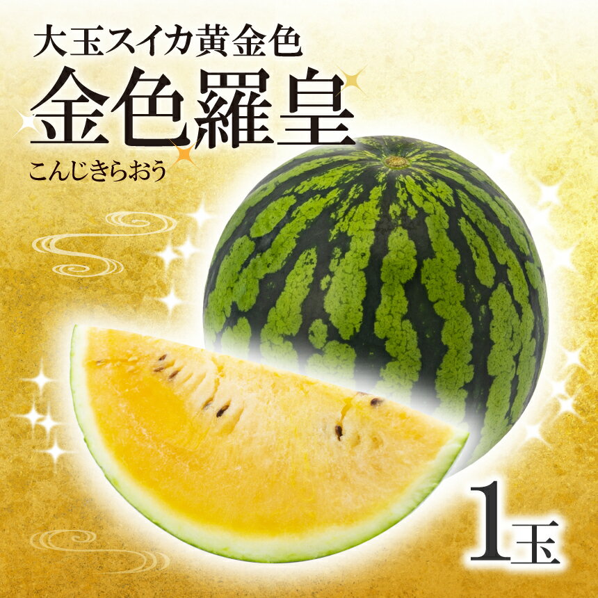 大玉 スイカ 黄金色 金色羅皇 1玉 すいか スイカ 2026年6月中旬頃発送 果物 フルーツ 大玉 国産 熊本県 和水町 西瓜 大玉くまもと 熊本県 希少 野菜 人気 こんじき らおう