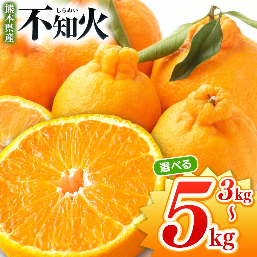 不知火 【 先行予約 】 選べる内容量 不知火 約 5kg or 3kg 池田農園 | デコポン しらぬい フルーツ 和製 果物 熊本県産 熊本県 熊本 くまもと 和水町 なごみまち なごみ 柑橘類 果物 フルーツ 柑橘