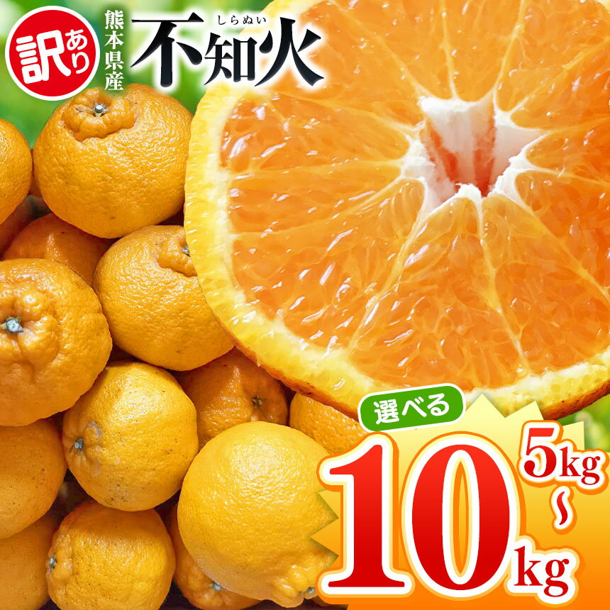 【 先行予約 】 選べる内容量 【訳あり】 不知火 約 10kg or 5kg 池田農園 | デコポン しらぬい フルーツ 和製 果物 熊本県産 熊本県 熊本 くまもと 和水町 なごみまち なごみ 柑橘類 果物 フルーツ