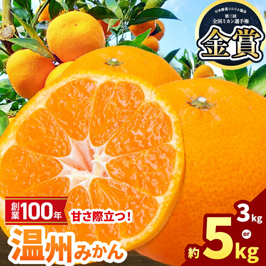 選べる容量 創業100年 甘さ際立つ！熊本温州みかん 約 3kg or 5kg | 熊本県 熊本 くまもと 和水町 なごみまち なごみ 柑橘 柑橘類 ミカン ミカン みかん 温州ミカン 温州みかん