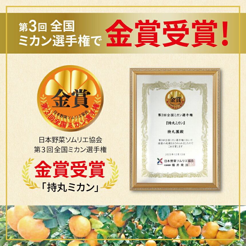 【ふるさと納税】選べる容量 創業100年 甘さ際立つ！熊本温州みかん 約 3kg or 5kg | 熊本県 熊本 くまもと 和水町 なごみまち なごみ 柑橘 柑橘類 ミカン ミカン みかん 温州ミカン 温州みかん サムネイル2