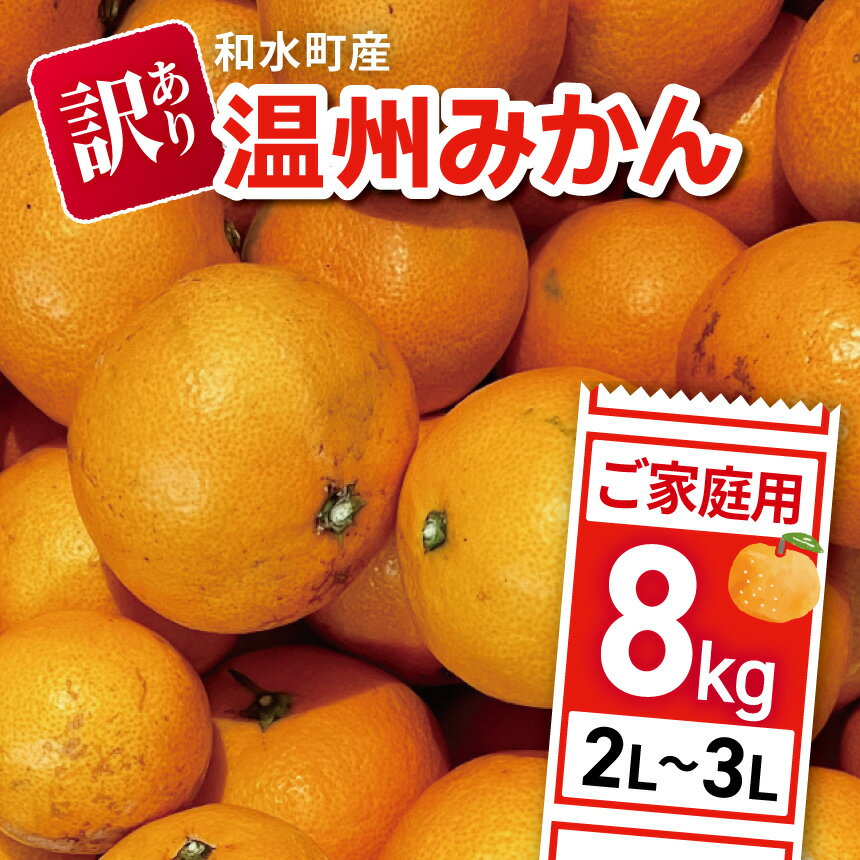 【 先行予約 】【 訳あり 】期間限定 大玉 温州みかん 和水町産 ご家庭用 約 8kg | キズ 傷 スレ 2L 3L フードロス 農家支援 災害支援 果物　冬 家庭用 フルーツ 柑橘 SDGs 食品 熊本県 熊本 くまもと 和水町 なごみまち なごみ 大玉 大玉みかん ミカン