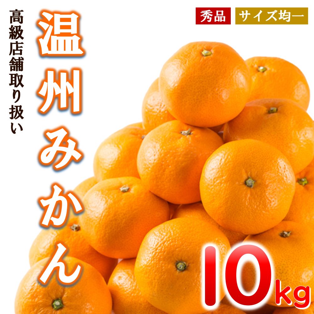 【 先行予約 】 温州みかん 和水町産 約 10kg ｜ みかん 柑橘 熊本 くまもと 秀品 産地直送 熊本復興 人気 温州 なごみまち
