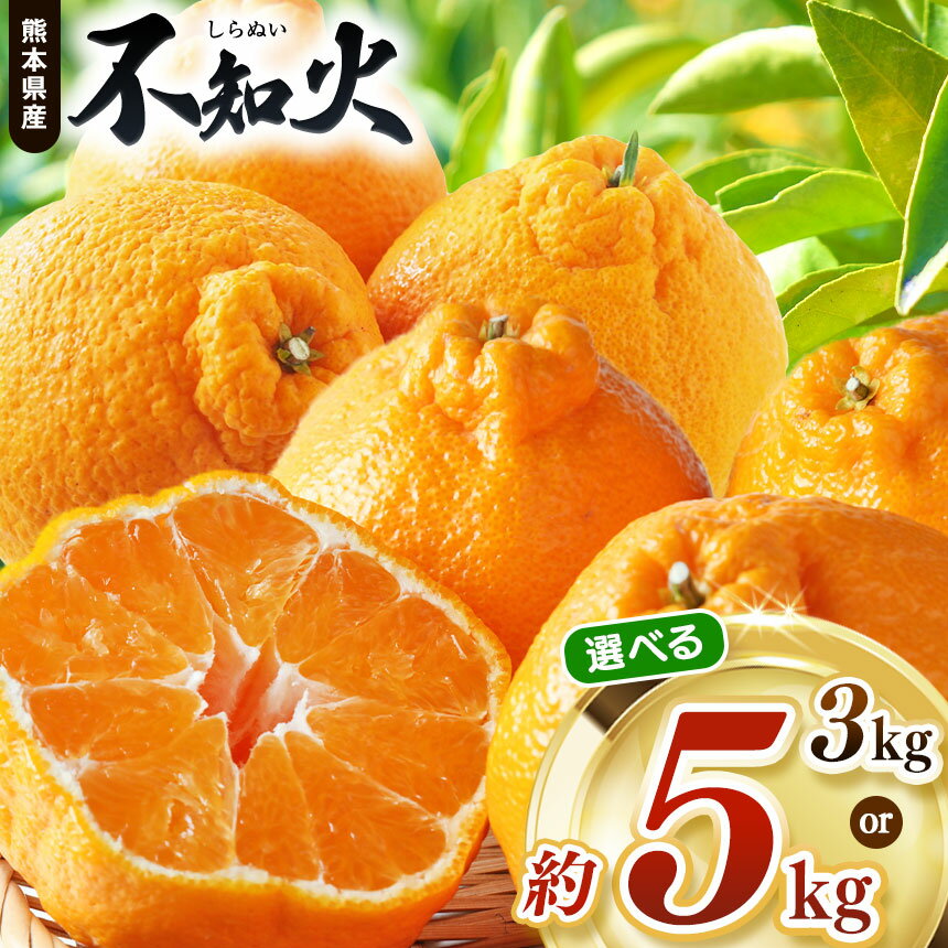 【 先行予約 】 選べる内容量 不知火 約 5kg or 3kg 池田ファーム | デコポン しらぬい フルーツ 和製 果物 熊本県産 熊本県 熊本 くまもと 和水町 なごみまち なごみ 柑橘類 果物 フルーツ