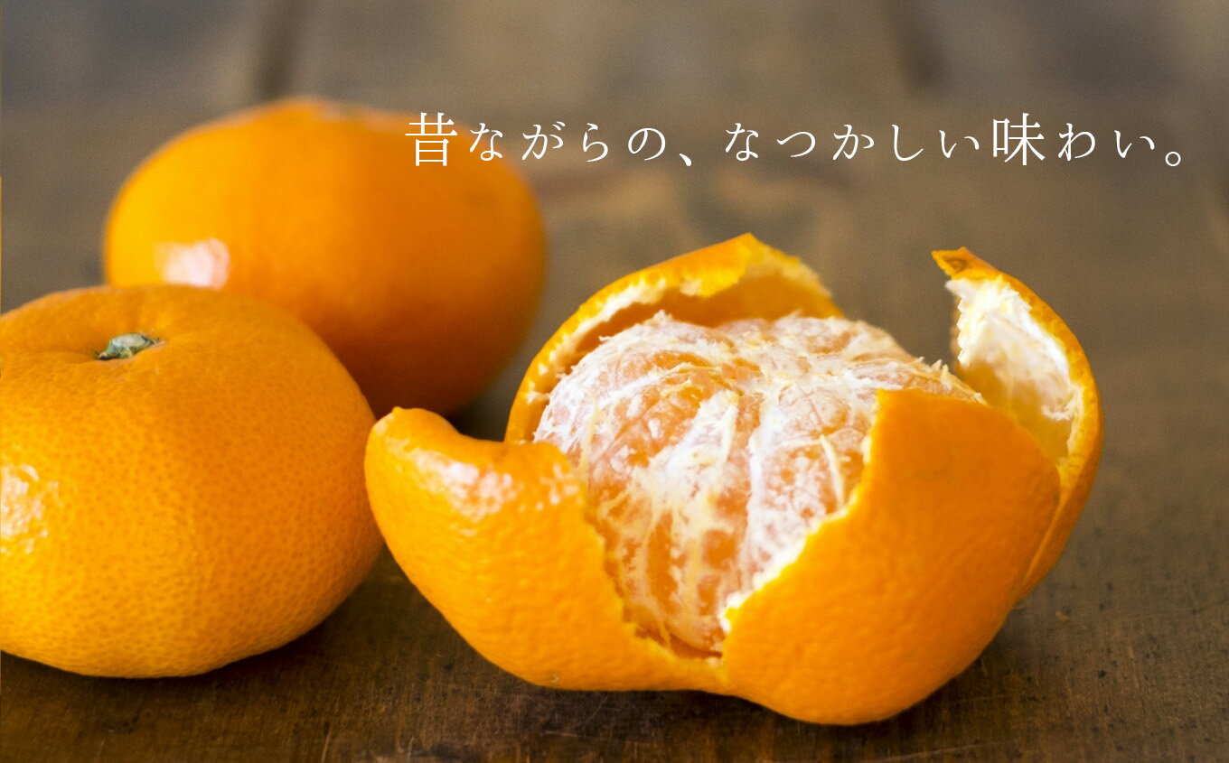 【ふるさと納税】【 先行予約 】訳あり みかん 大小混合 選べる内容量 約 18kg or 10kg 果物 熊本県 なごみ町産 みかん 小さいサイズ 大きいサイズ ミカン 和水町 サムネイル3