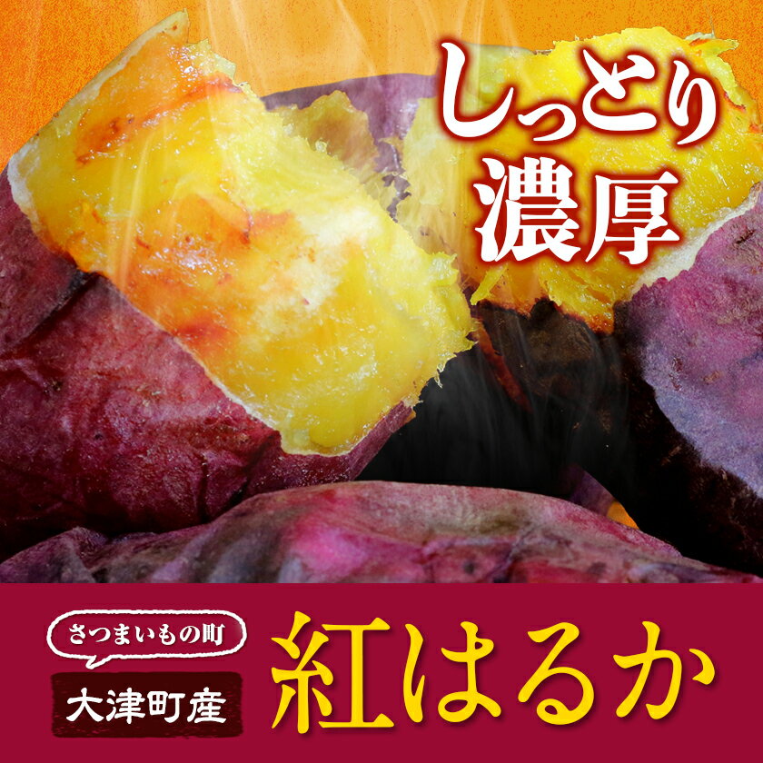【ふるさと納税】選べる 熊本県 大津町産 タカハマ観光農園 の 紅はるか 約 3 or 5kg 大中小ミックス《2026年1月上旬-6月末頃出荷》 さつまいも さつま芋 芋 スイートポテト 干し芋にも - 画像2