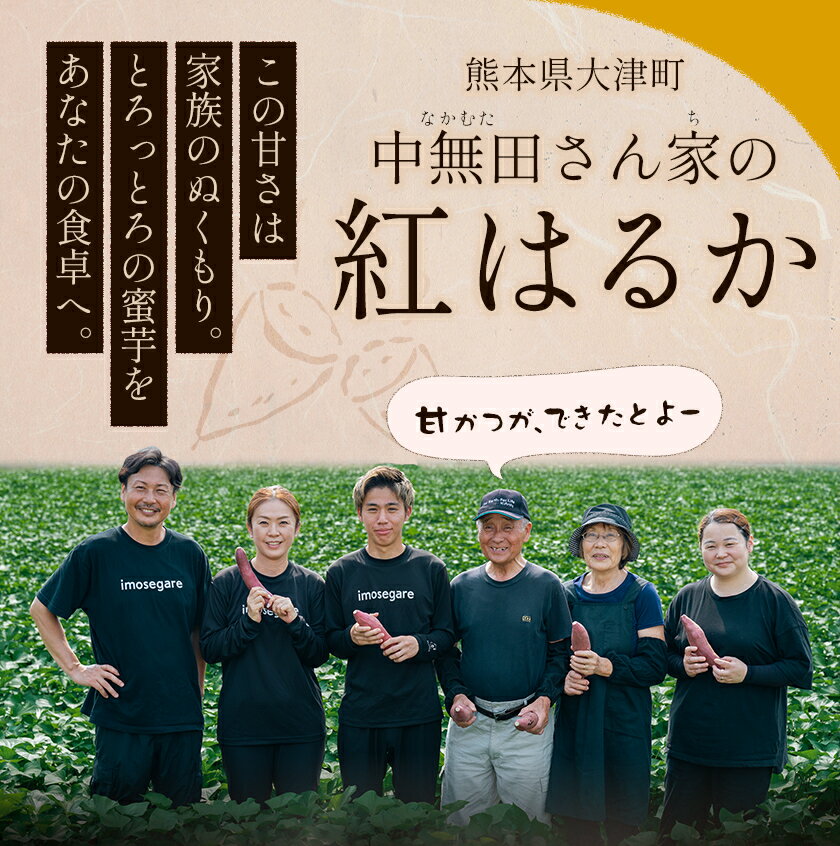 【ふるさと納税】＼限定規格受付中／ 中無田農園の紅はるか 選べる 内容量 約1.5kg 約5kg (大中小サイズ不揃い) 熊本県大津町 《12月上旬-1月中旬頃出荷予定》 さつまいも 芋 スイートポテト 干し芋にも 名産地 特産品 秋 旬 サムネイル2