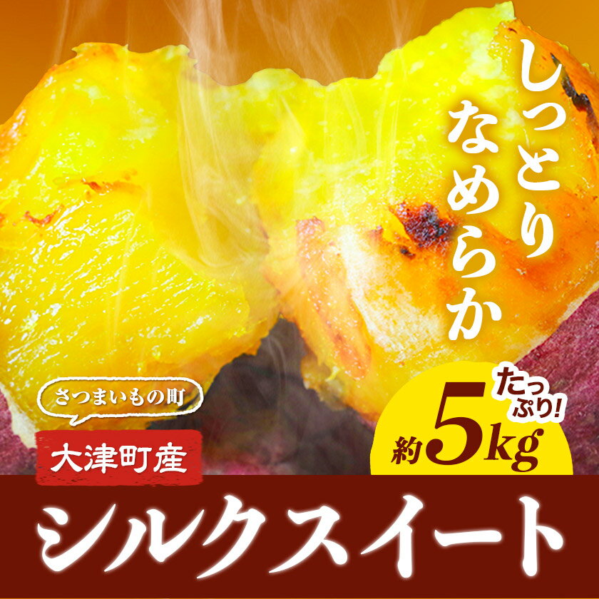 【ふるさと納税】熊本県大津町産 タカハマ観光農園のシルクスイート 約5kg《2026年1月上旬-4月末頃出荷》 さつまいも 芋 スイートポテト 干し芋にも - 画像2