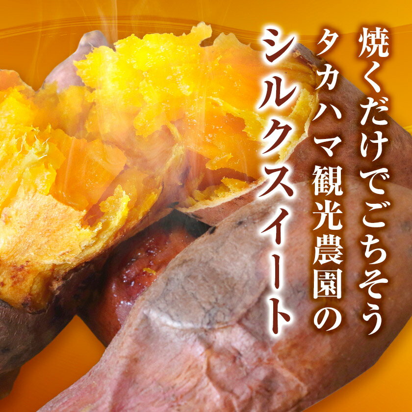 【ふるさと納税】熊本県大津町産 タカハマ観光農園のシルクスイート 約5kg《2026年1月上旬-4月末頃出荷》 さつまいも 芋 スイートポテト 干し芋にも - 画像3