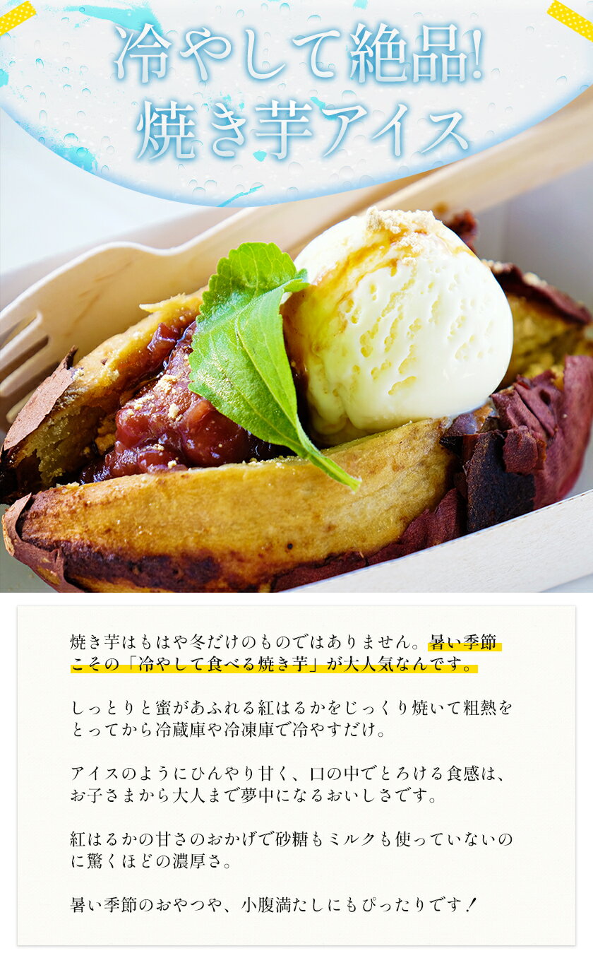 【ふるさと納税】＼限定規格受付中／ 中無田農園の紅はるか 選べる 内容量 約1.5kg 約5kg (大中小サイズ不揃い) 熊本県大津町 《12月上旬-1月中旬頃出荷予定》 さつまいも 芋 スイートポテト 干し芋にも 名産地 特産品 秋 旬 サムネイル3