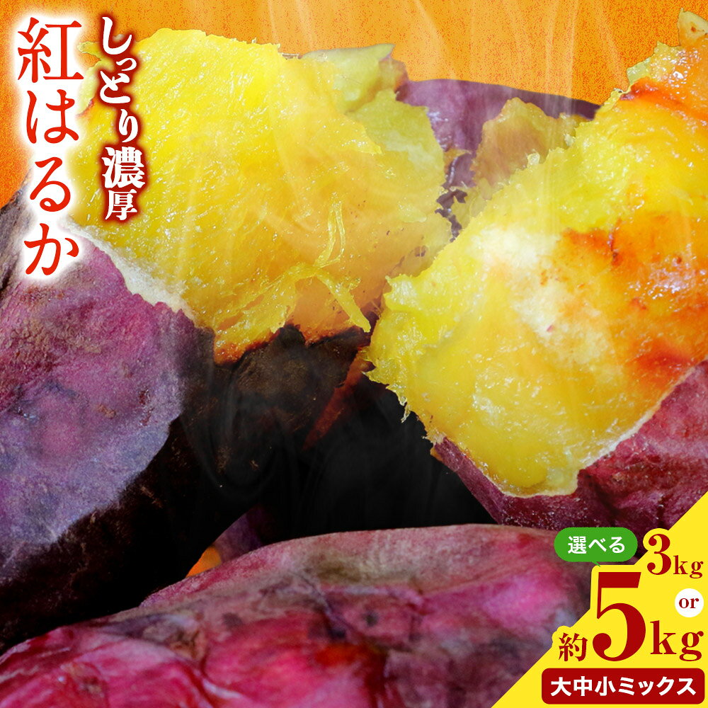 選べる 熊本県 大津町産 タカハマ観光農園 の 紅はるか 約 3 or 5kg 大中小ミックス《2026年1月上旬-6月末頃出荷》 さつまいも さつま芋 芋 スイートポテト 干し芋にも